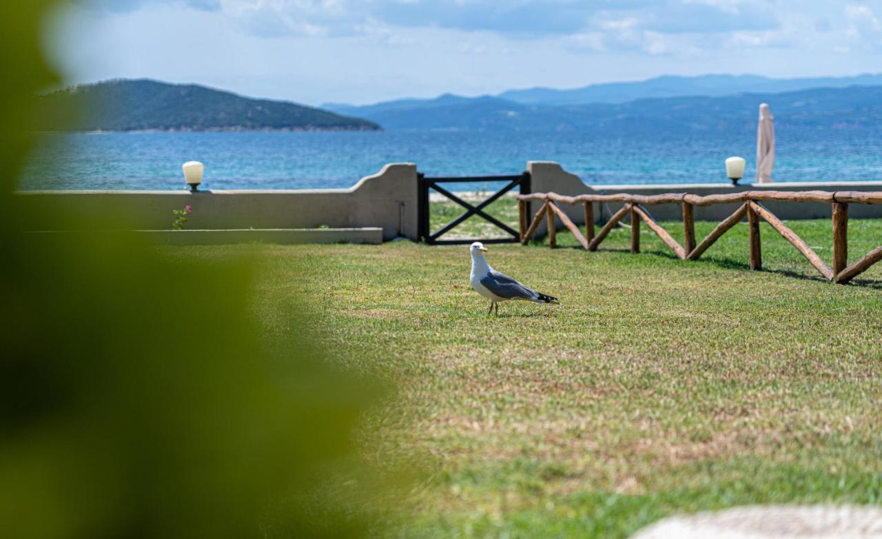 Вилла Alemar Estates Ouranoupolis Экстерьер фото